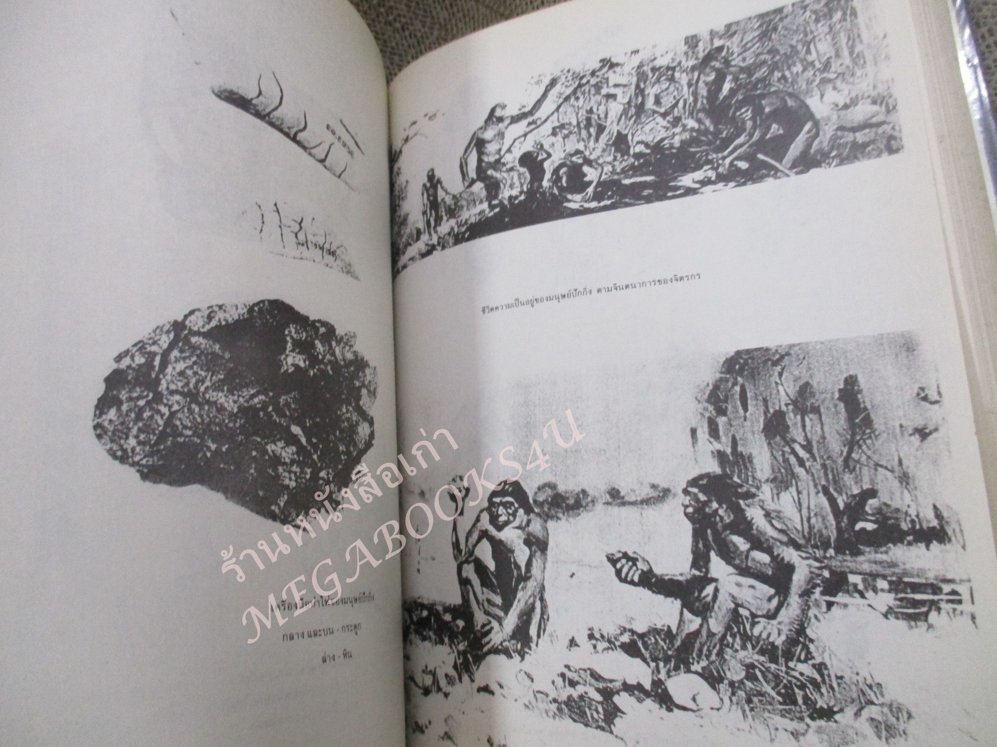 โลกยุคดึกดำบรรพ์ / โรงเรียนส่งเสริมวิชาชีพฯ / สภาพดี / แผ่นรองปกมีคราบน้ำนิด