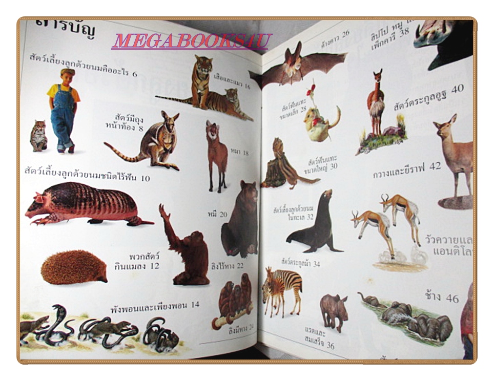 SOLD OUT:หนังสือมือสอง หนังสือเด็กรักลูก ห้องสมุดแสนสนุก เรื่อง สัตว์เลี้ยงลูกด้วยนม