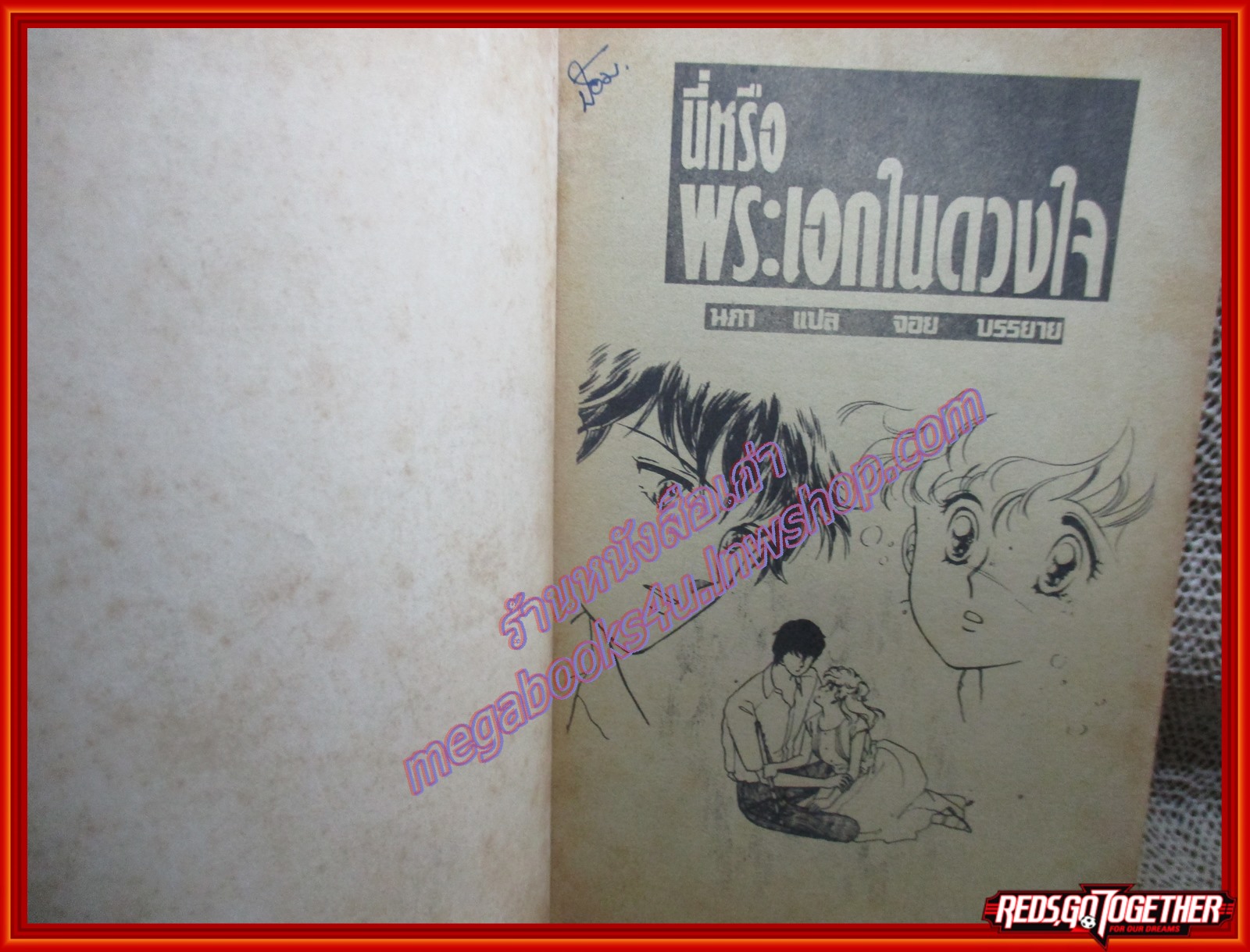 การ์ตูนบ้าน นี่หรือ พระเอกในดวงใจ เล่มเดียวจบ