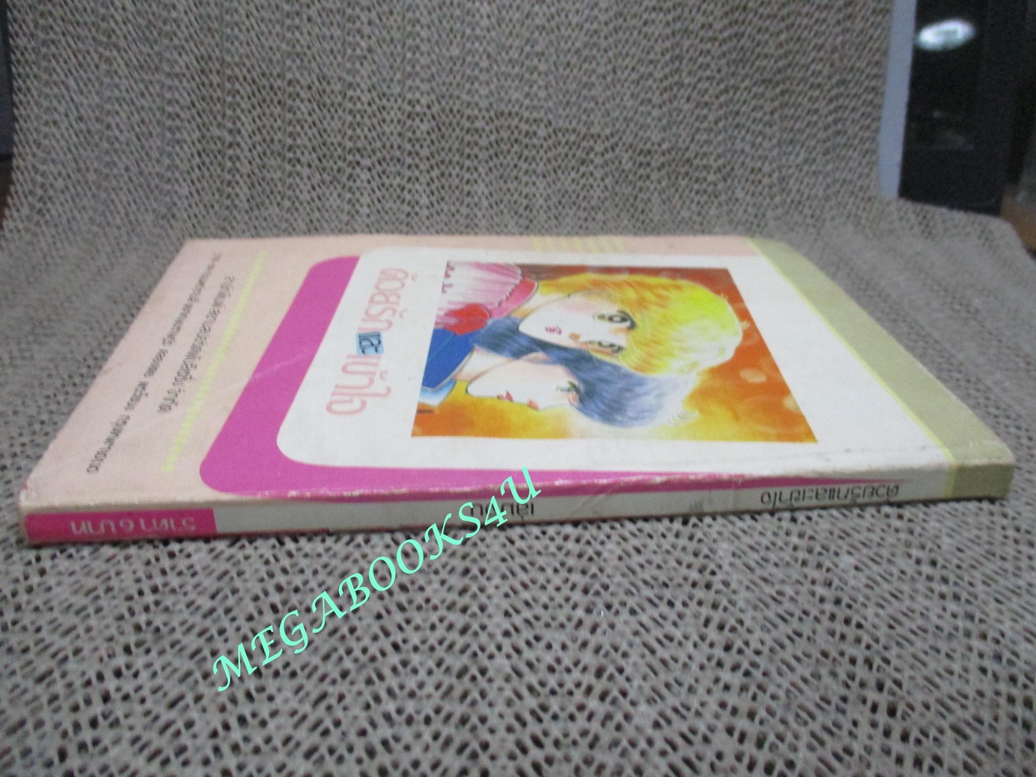 การ์ตูนบ้าน ด้วยรักและเข้าใจ เล่มจบ อวสาน / สยามฯ