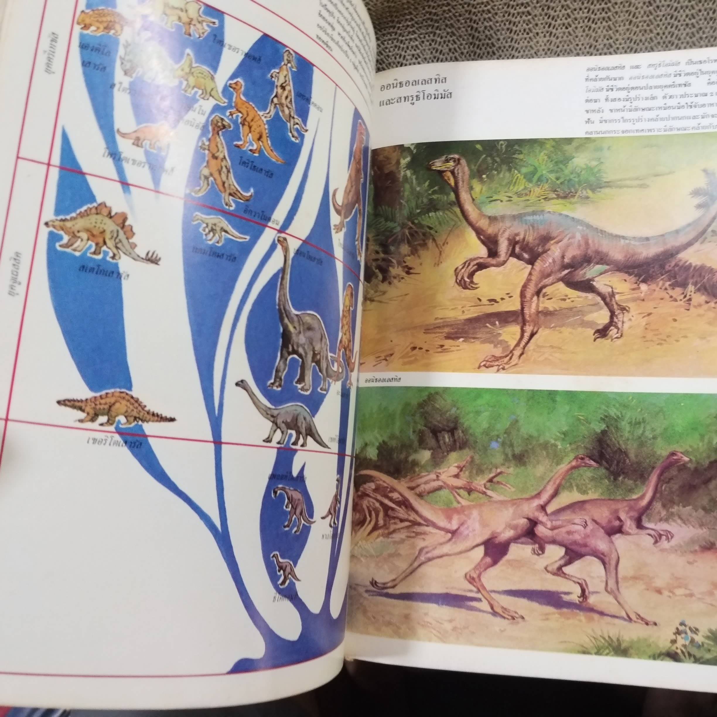ขุมทรัพย์ความรู้สำหรับเด็ก เรื่อง ชีวิต ยุคก่อนประวัติศาสตร์ สภาพดี มีจุดเหลืองประปรายตามเวลา