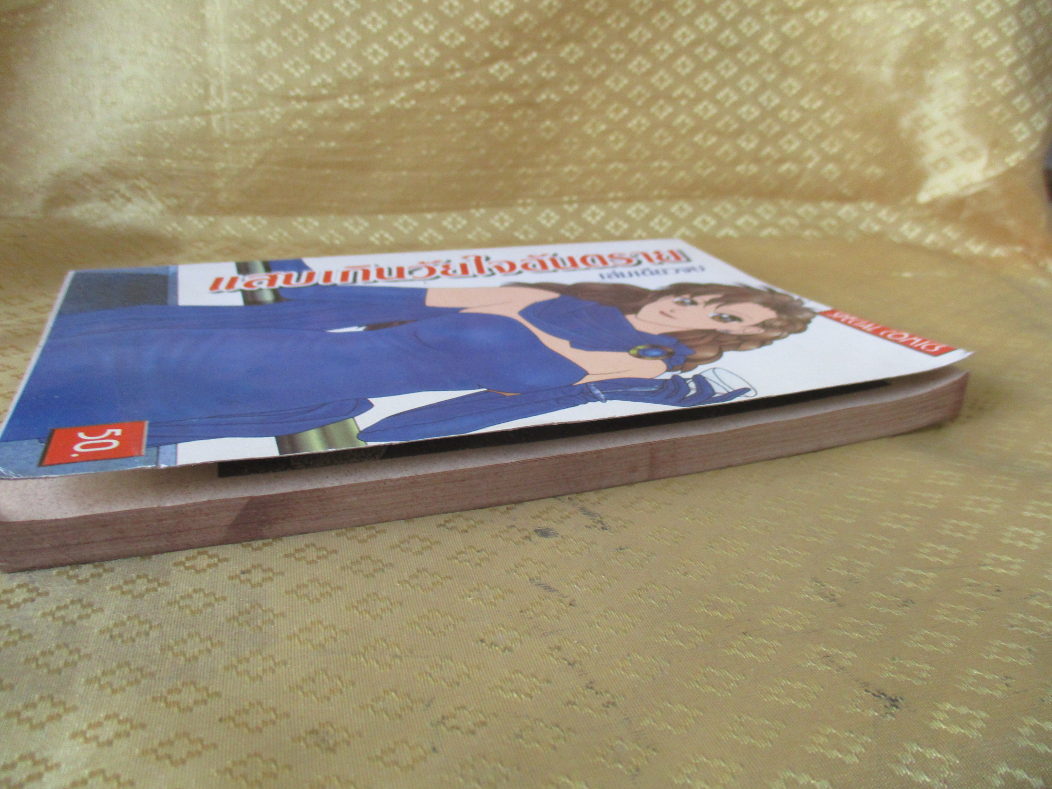 การ์ตูนบ้าน แสบเกินวัยใจอันตราย เล่มเดียวจบ สภาพดี สภาพ B+