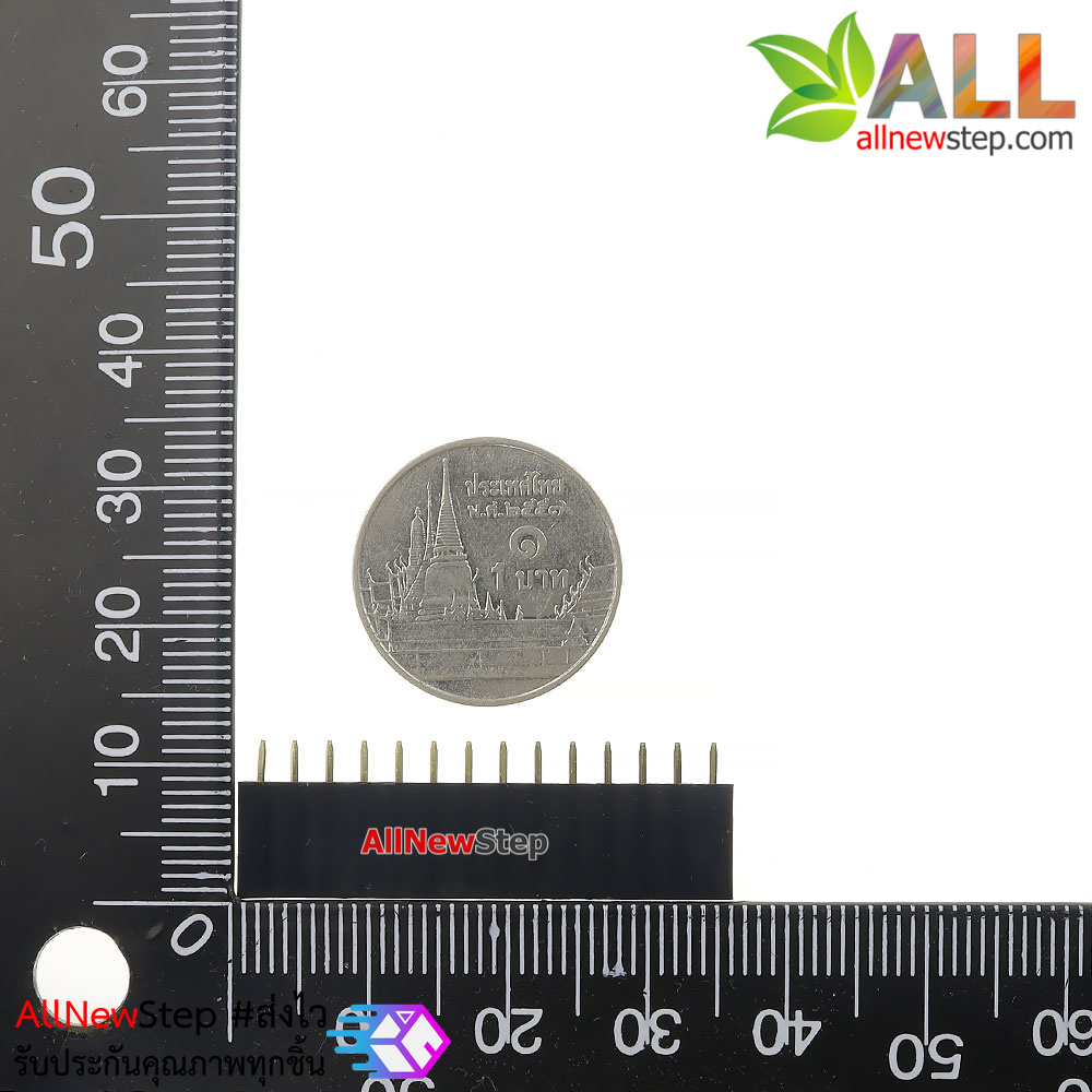 Pin header Single row 14p female 1x14P spacing 2.54mm จำนวน 1 ชิ้น