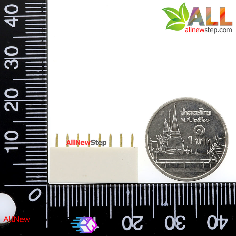 Pin header Female Header Single Row 2.54mm 8p Pin1x8 สีขาว