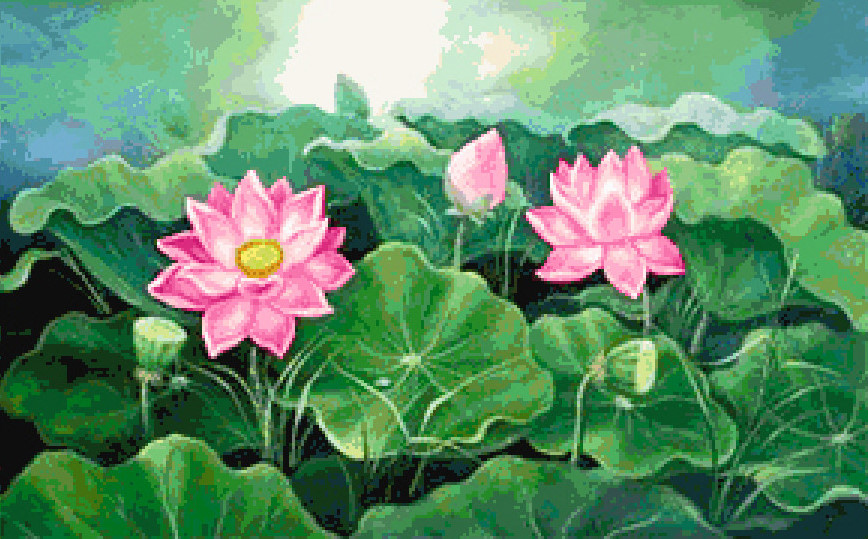 Pinn บัวกลางบึง-1
