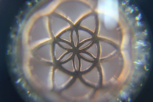ฟลาวเวอร์ออฟไลน์ ( The Flower of Lift Pendant )