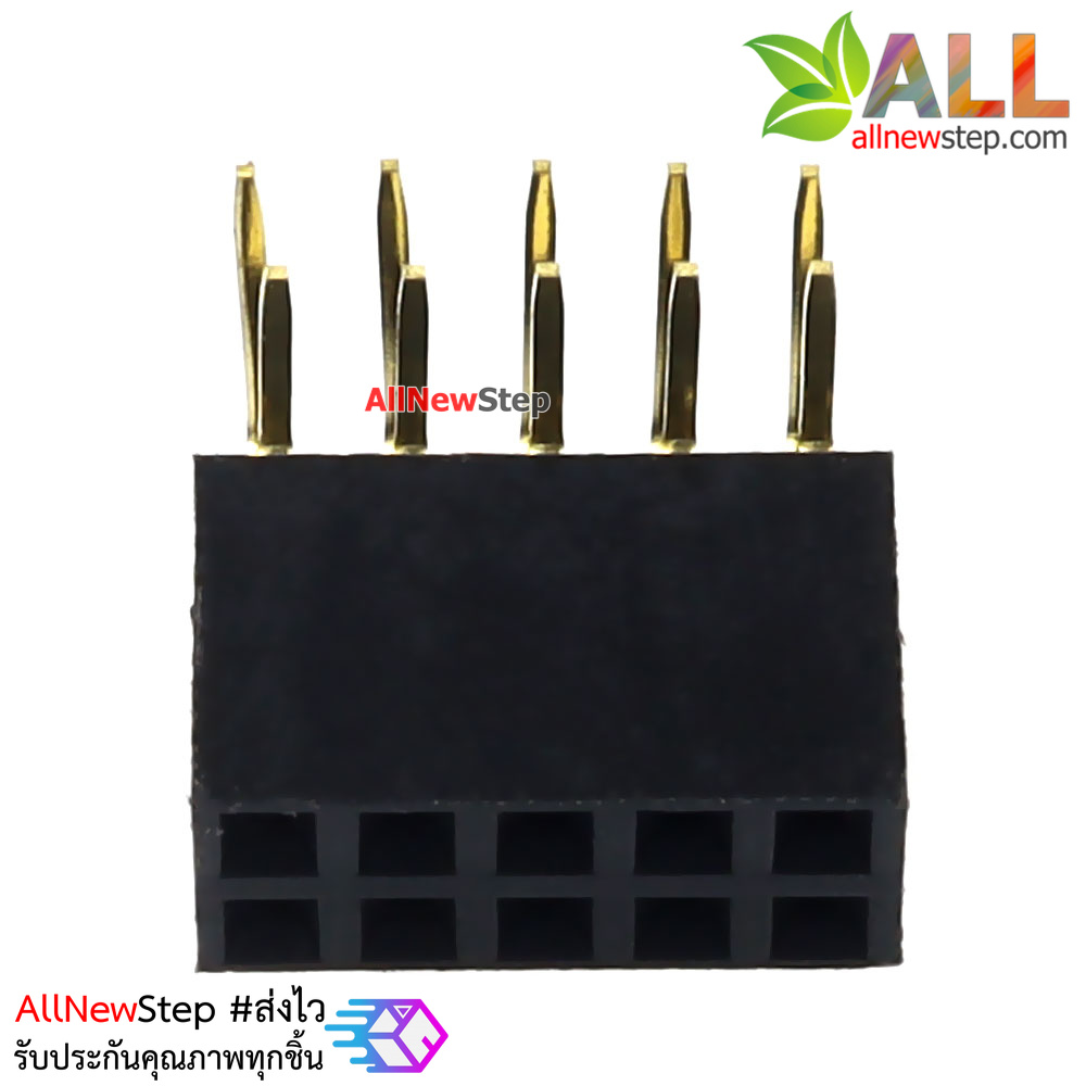 ขาก้างปลาตัวเมียแบบฉาก 2x5 ขา Double Row Hole Jack 2x5 PIN Header 2.54mm