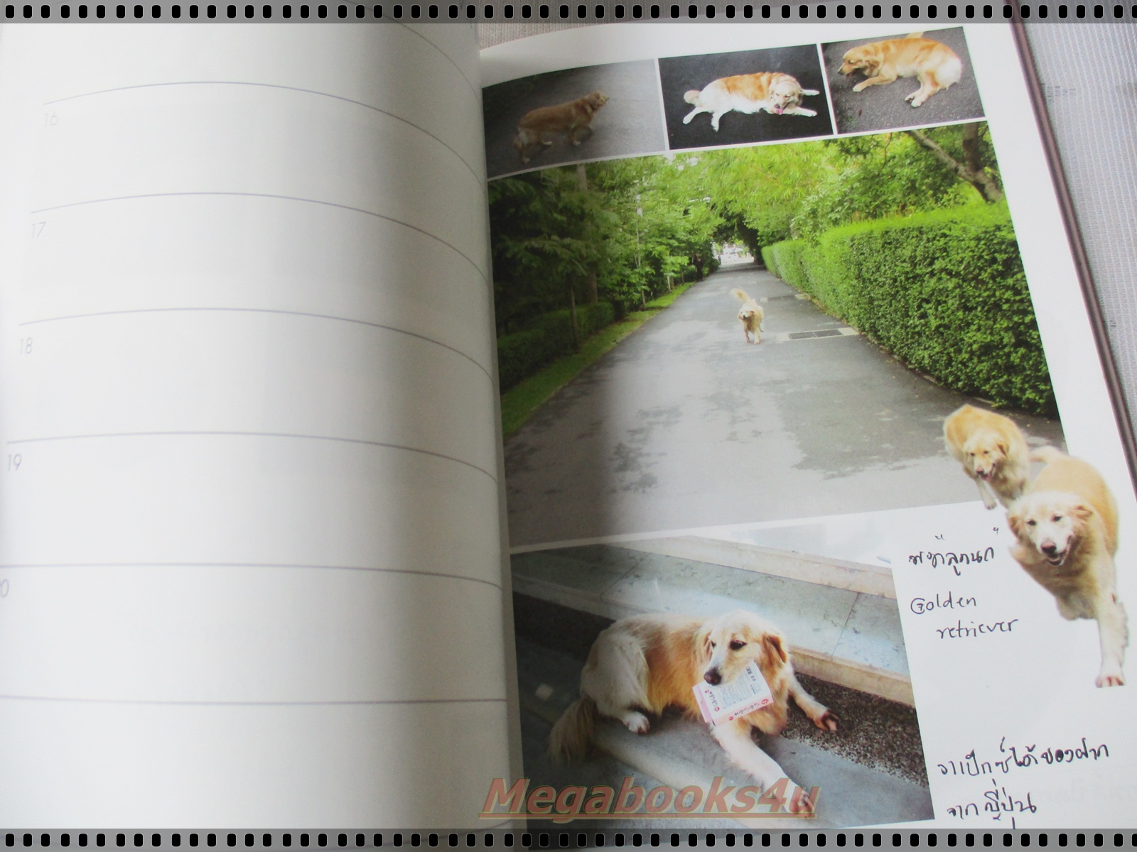 ในร่มเงาวังสระปทุม (ปกแข็งพร้อมกล่อง) ภาพถ่ายฝีพระหัตถ์สมเด็จพระเทพรัตนราชสุดาฯ สยามบรมราชกุมารี