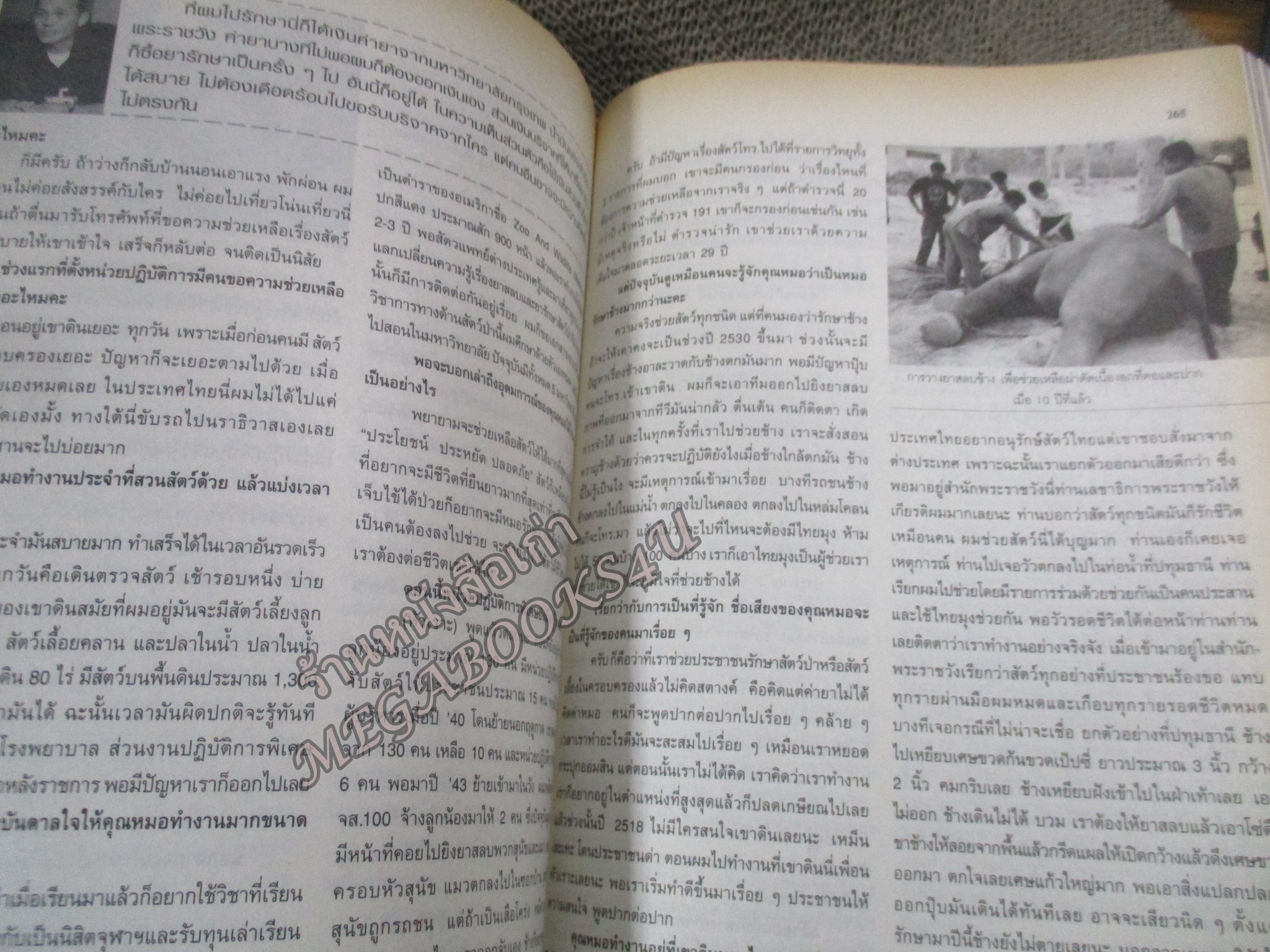 นิตยสารขวัญเรือน ฉบับที่790 ปี2547 ปก เบนซ์ พรชิตา สัมภาษณ์ ญาญ่า หญิง