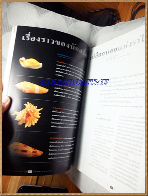 นิตยสารสารคดี ฉบับที่173 ปีที่15 ก.ค.2542,นักสะสมเปลือกหอย,เซกองลาวใต้,บันทายฉมาร์,ปกยับ สภาพพอใช้