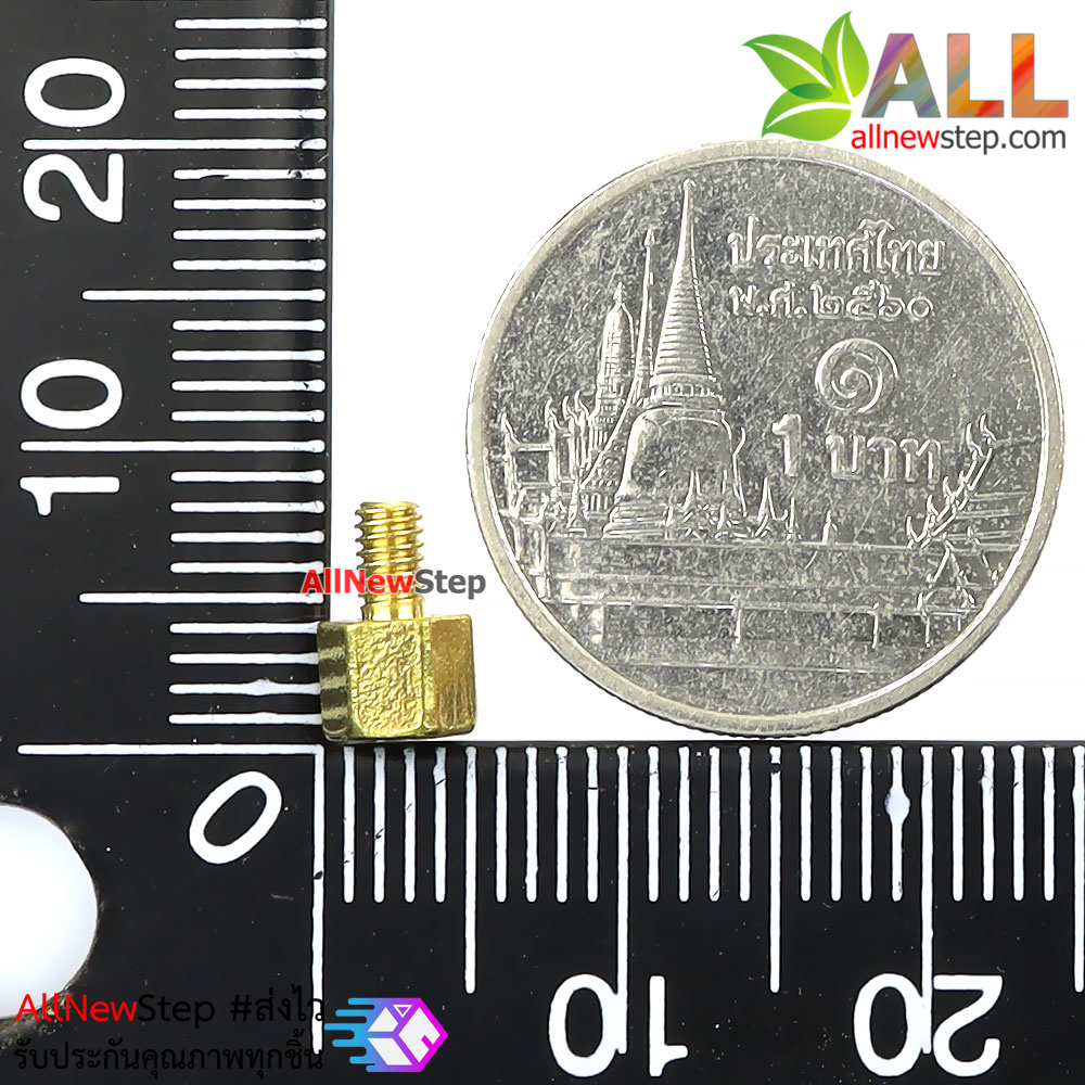 น็อต m2.5 ขนาด 4+4mm