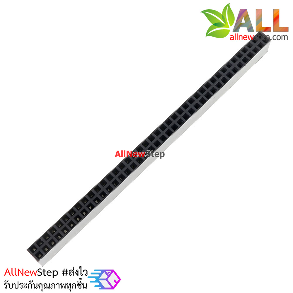 Double Row Hole Jack 2x40 PIN Header 2.54MM