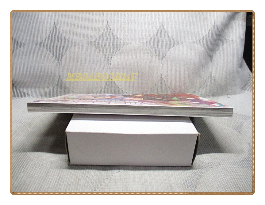 โนเกม โนไลฟ์ เล่ม01 สนพ.animag สภาพดี