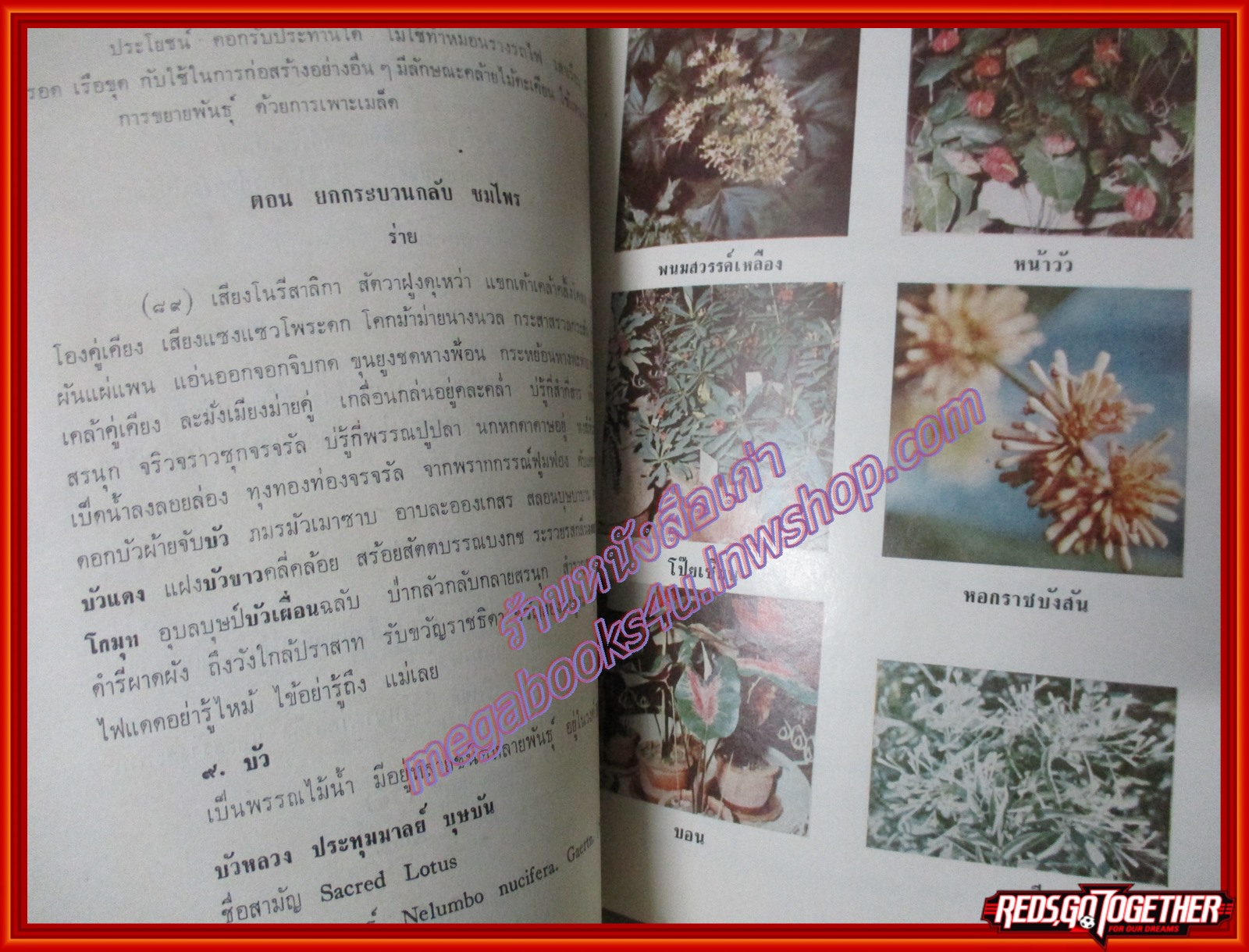ต้นไม้ในวรรณคดี ซึ่งรวบรวมพันธุ์ไม้ต่างๆ ไว้ อนุสรณ์ในงานฌาปนกิจศพ นางไป๋ สุสายัณห์