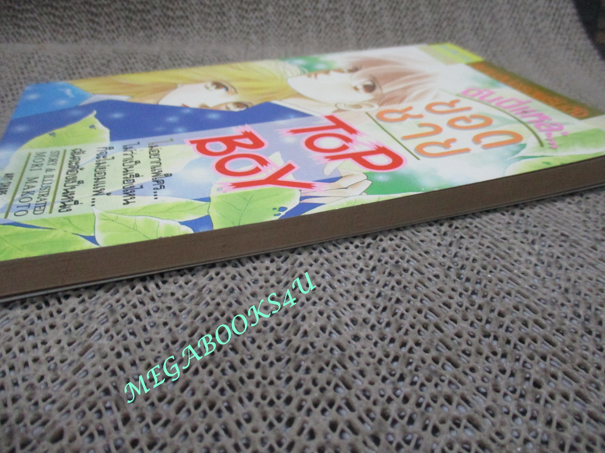ฉันนี่แหละยอดชาย TOP BOY / เล่มเดียวจบ / MORI MAKOTO / สยามฯ / สภาพดี