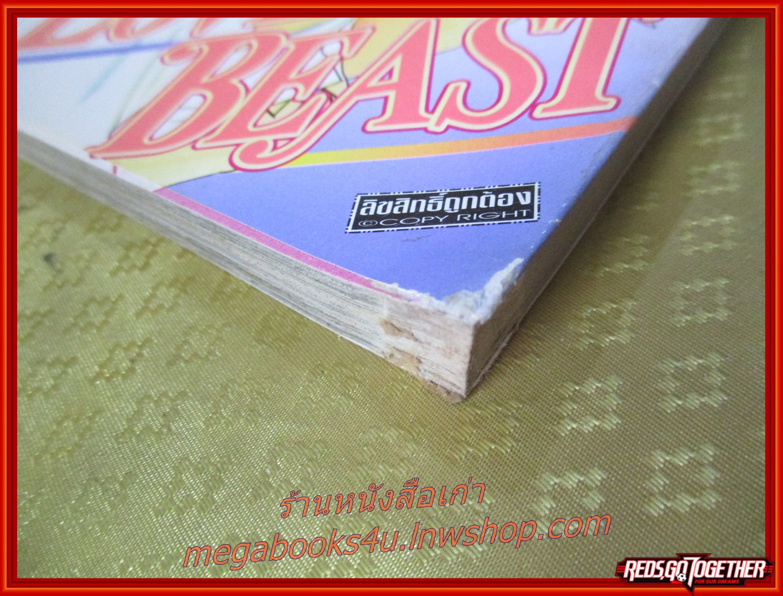 LOVE BEAST เล่มเดียวจบ โดย ANISAKI YUNA บงกช สภาพดี