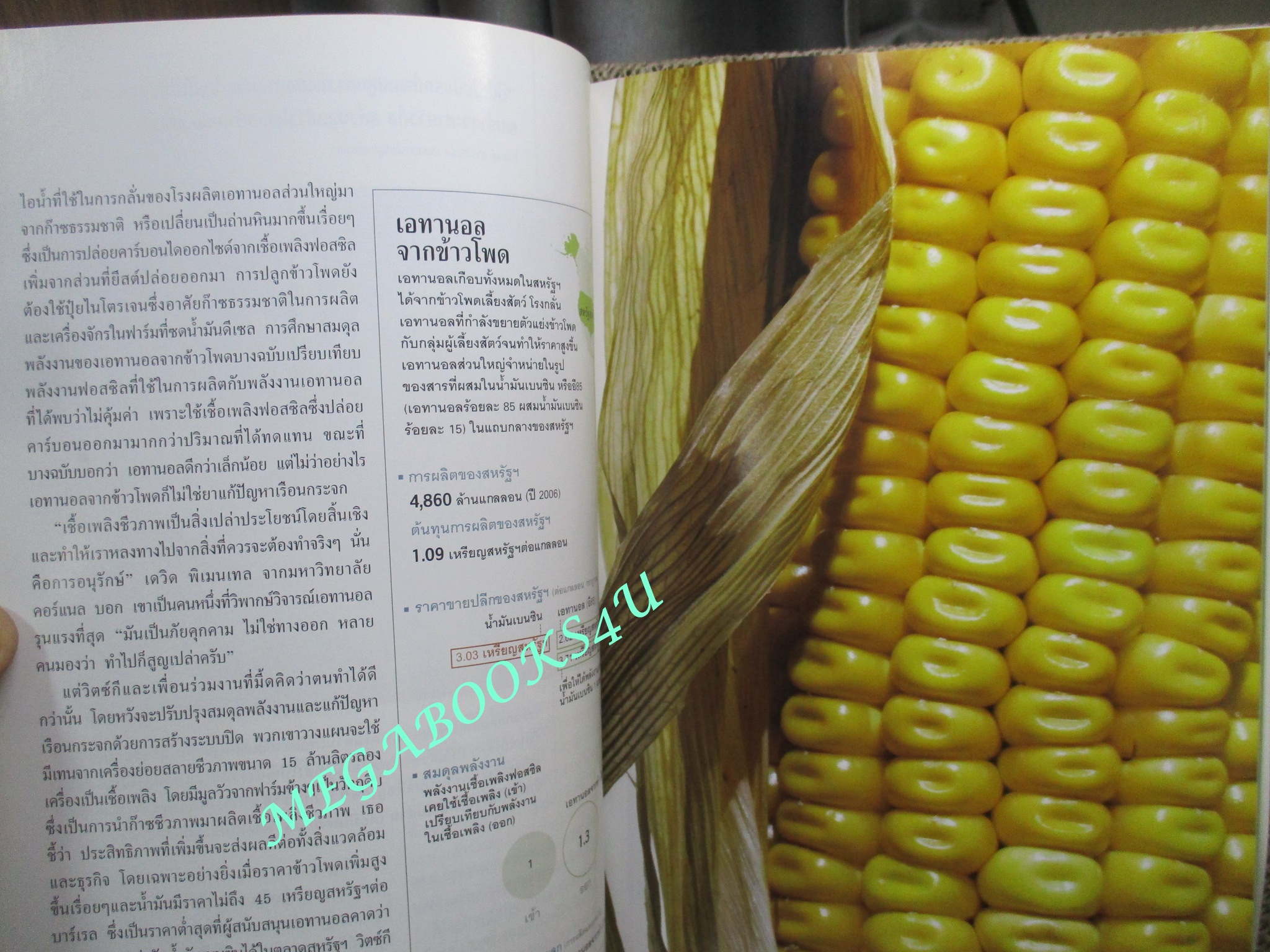 นิตยสาร เนชั่นแนลจีโอกราฟิก National Geographic ฉบับ075 2550 บุญงานวัด, วิกฤติพลังงาน