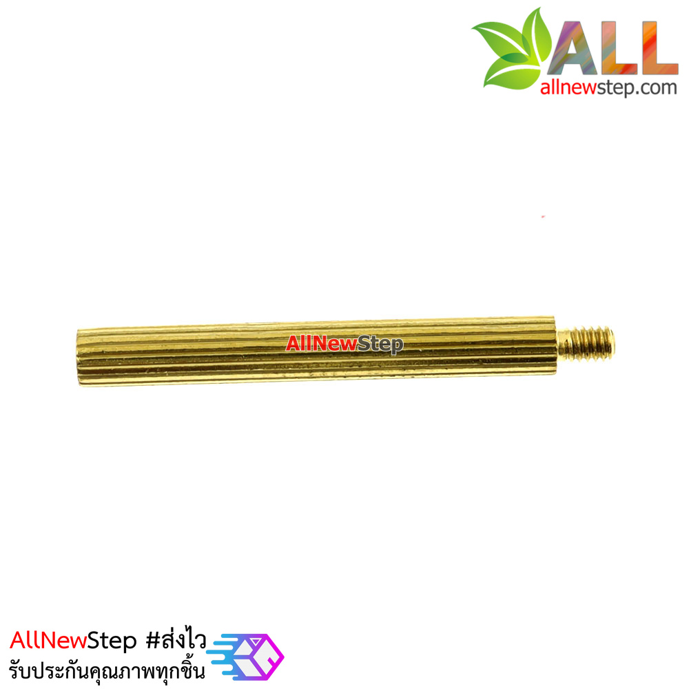 น็อตทองเหลือง NUT M2 ขนาด 24+3mm