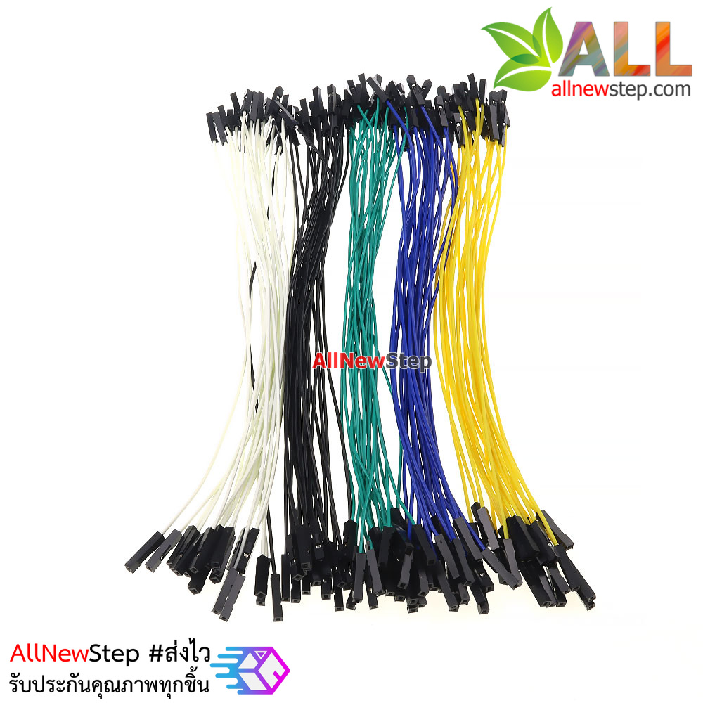 สายไฟ เมีย-เมีย สายไฟจัมเปอร์ 20cm 5 สี อย่างละ 20 เส้น รวม 100 เส้น