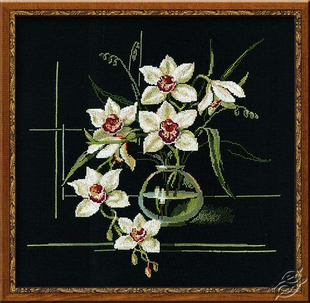 Riolis White Orchid