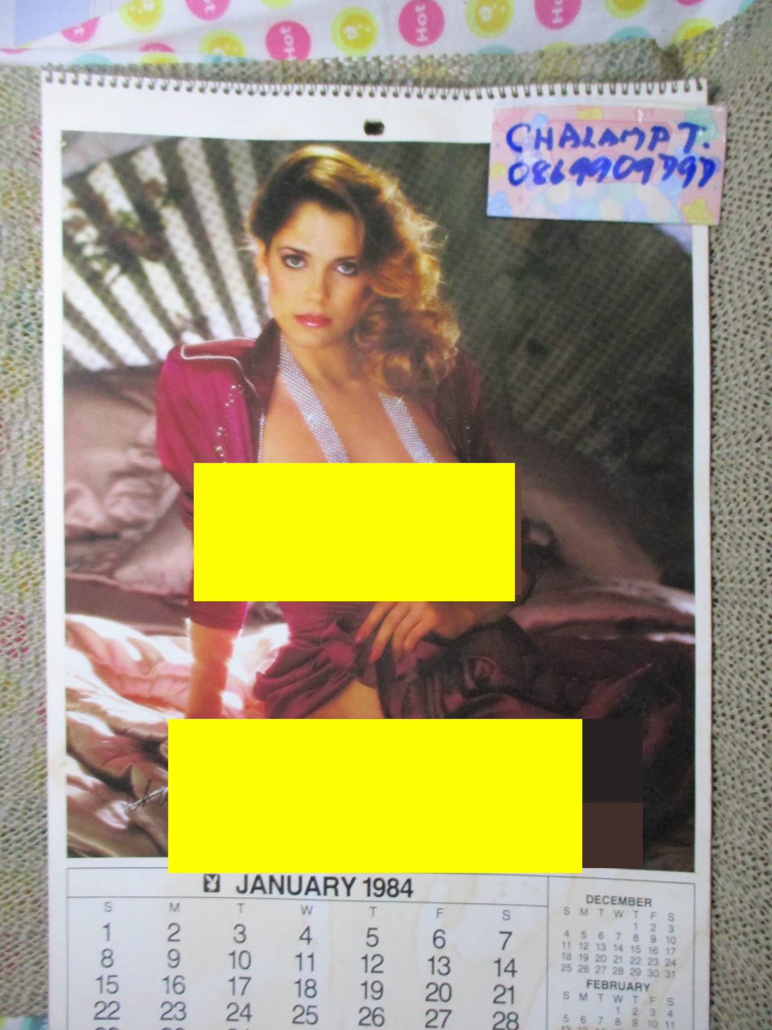 ปฏิทิน playboy ปี1984 12เดือน12นางแบบ ครบถ้วน สภาพดี