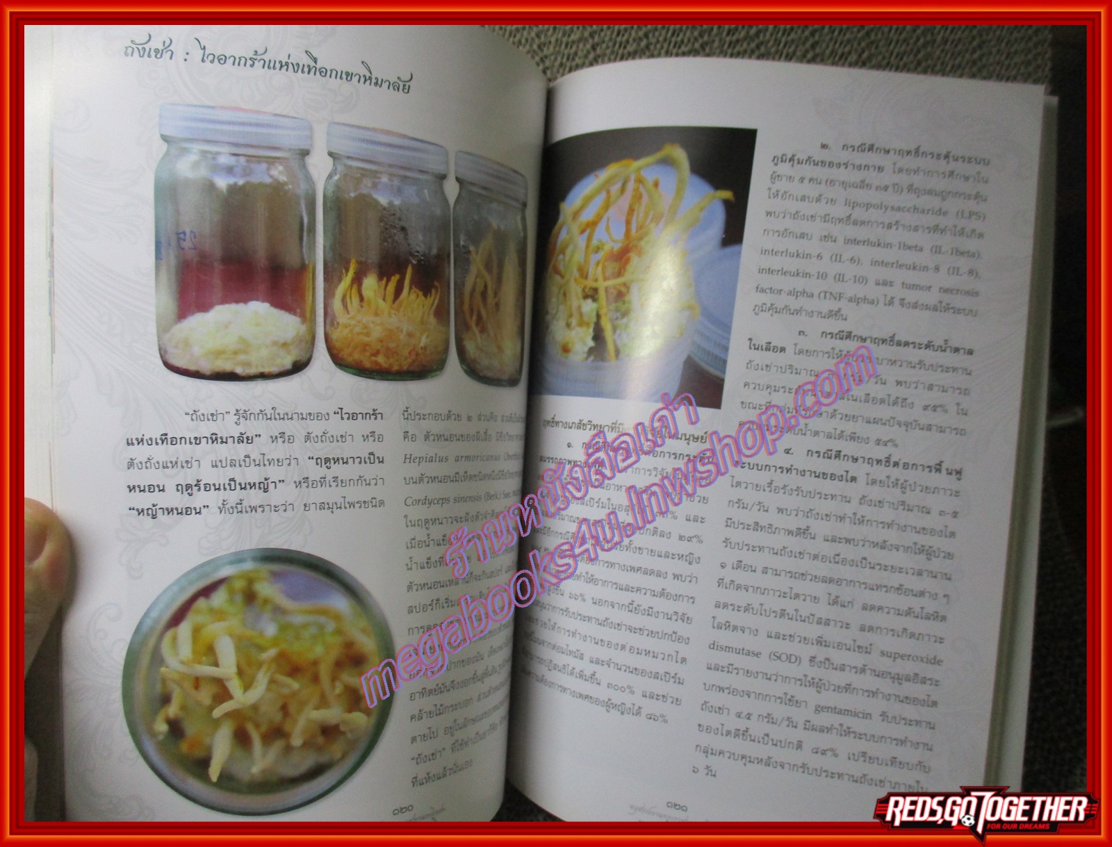 สารอาหารชะลอวัย,การสร้างวัดเทพธรรมรังษี อนุสรณ์งานพระราชทานเพลิงศพ ยุกติ สาริกะภูติ