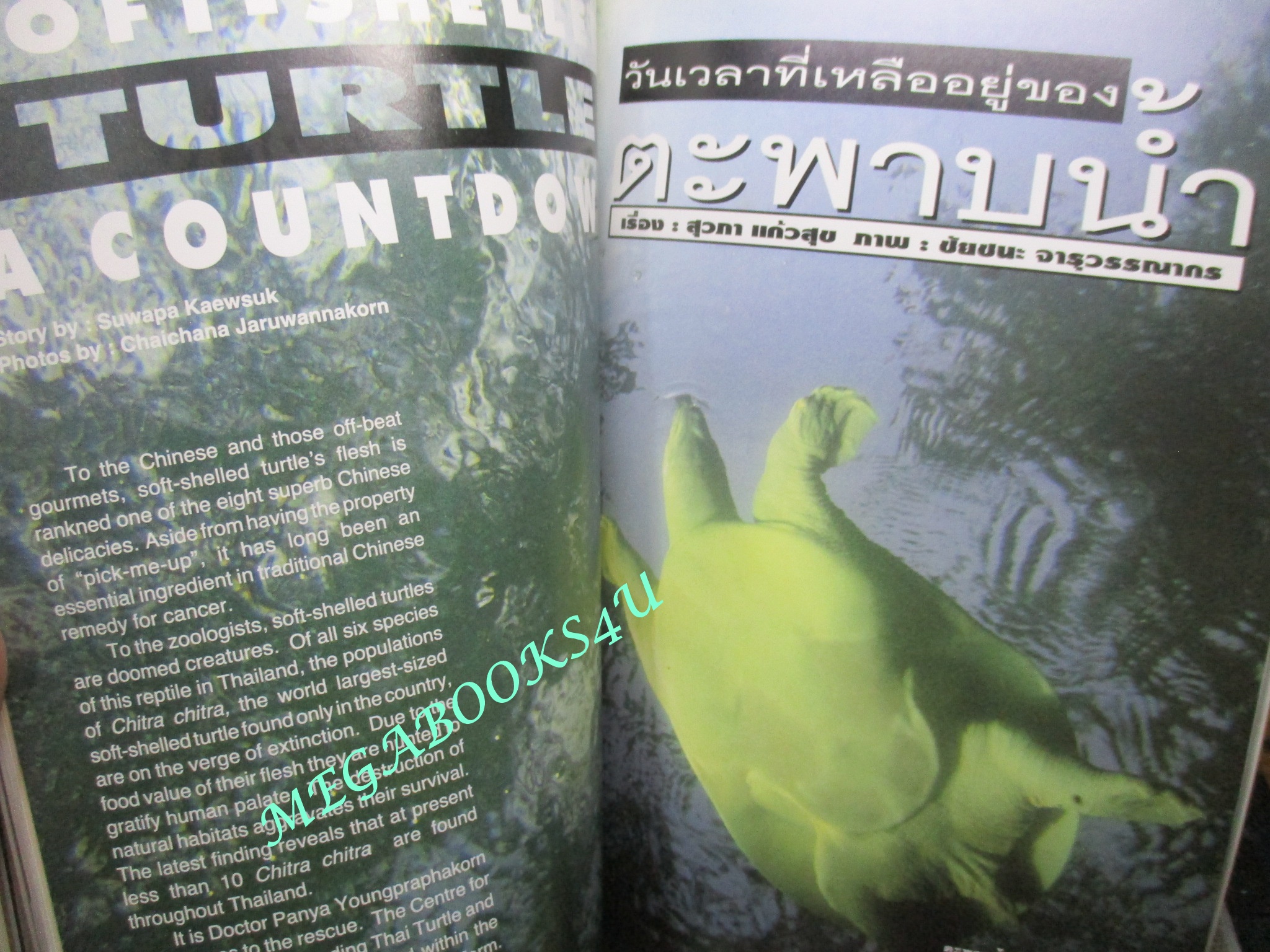 นิตยสารสารคดี ฉบับที่123 พฤษภาคม 2538 เมาเทนไบค์,ตะพาบน้ำ,ม้งอพยพ,จังหวัดฉะเชิงเทรา