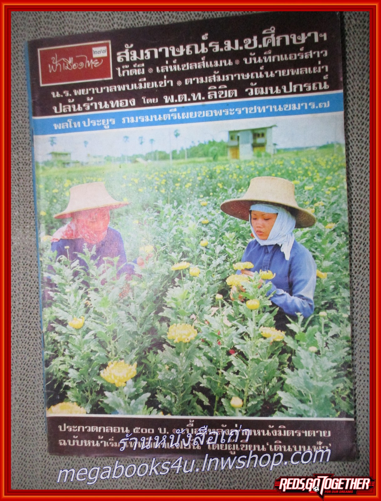 นิตยสารฟ้าเมืองไทย ฉบับ277 ปี2517 ปก ดอกเบญจมาศที่ตลิ่งชัน มีงานเขียนของ รงค์ วงษ์สวรรค์