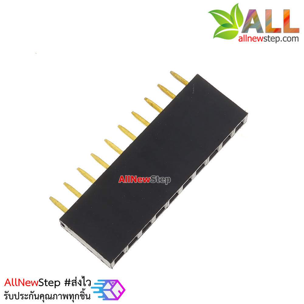 1X10 Pin 10P Single Row Female Header 2.54mm pitch straight จำนวน 1 ชิ้น