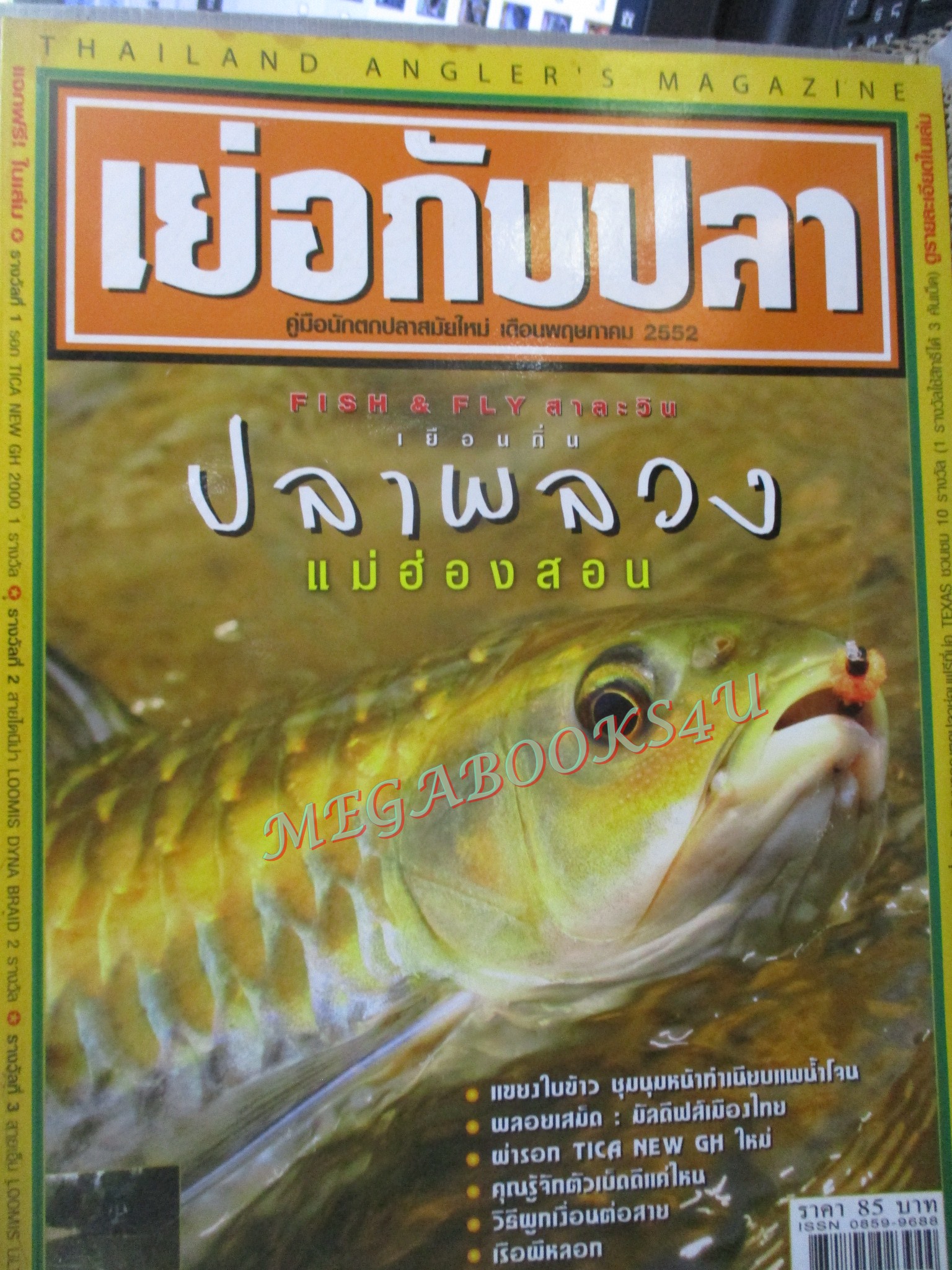 นิตยสาร เย่อกับปลา ฉบับที่136 ปี2552 ปลาพลวง