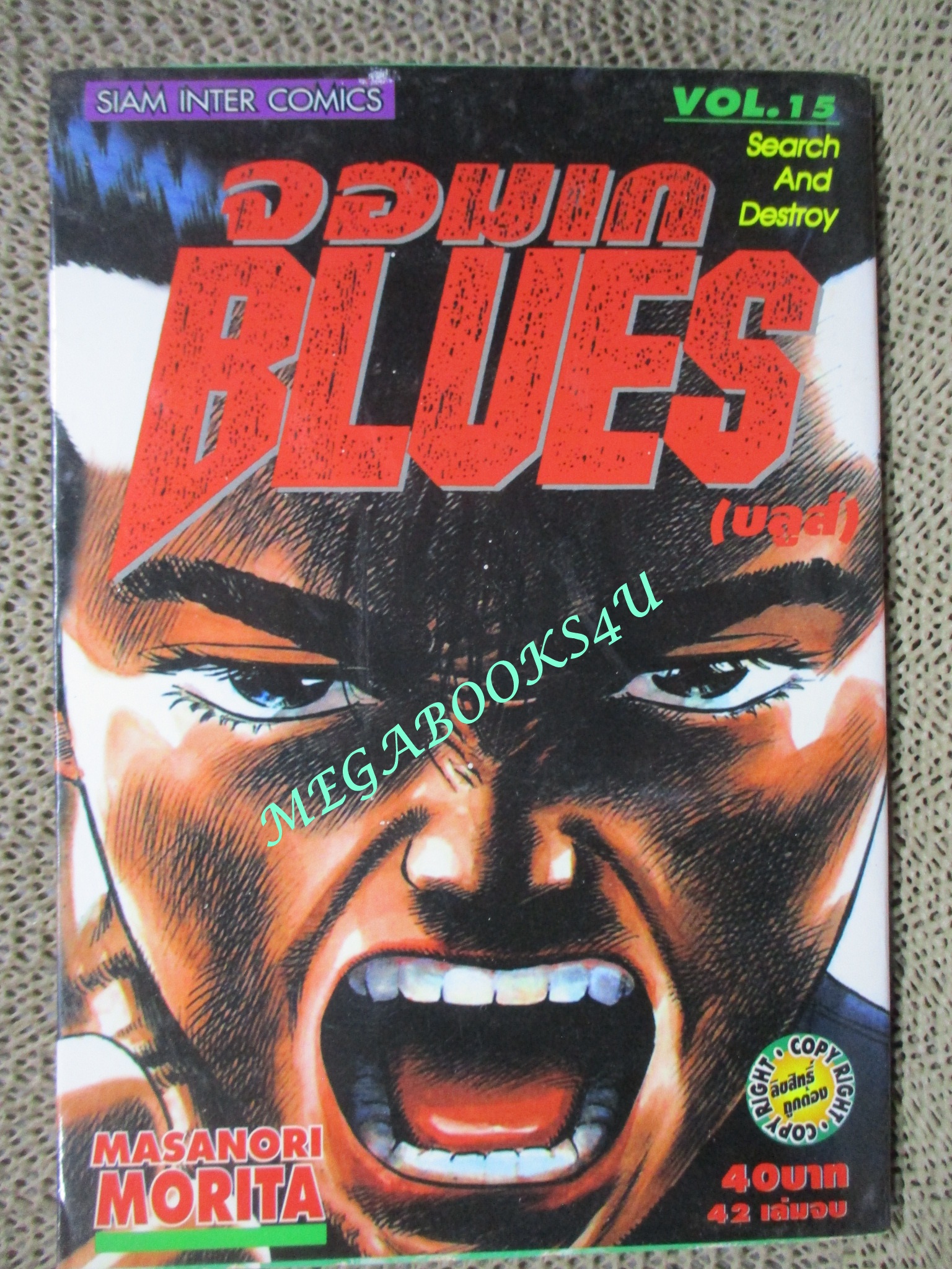 การ์ตูนบ้าน จอมเก BLUES (บูลส์) เล่ม15 / MASANORI MORITA สนพ.สยาม