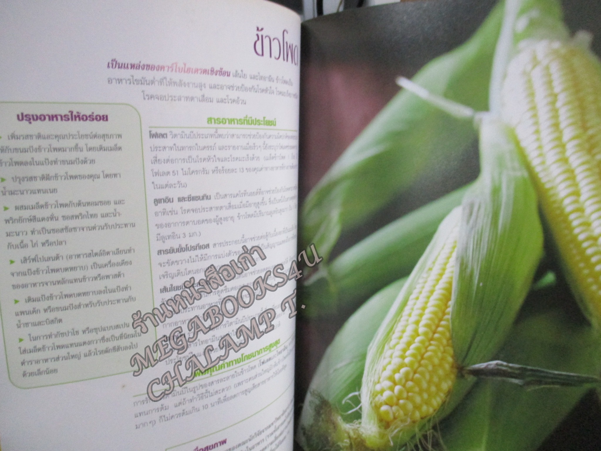 รีดเดอร์ส ไดเจสท์ มหัศจรรย์อาหารต้านโรค พลังสารอาหารช่วยคุณบรรเทอาการเจ็บป่วย