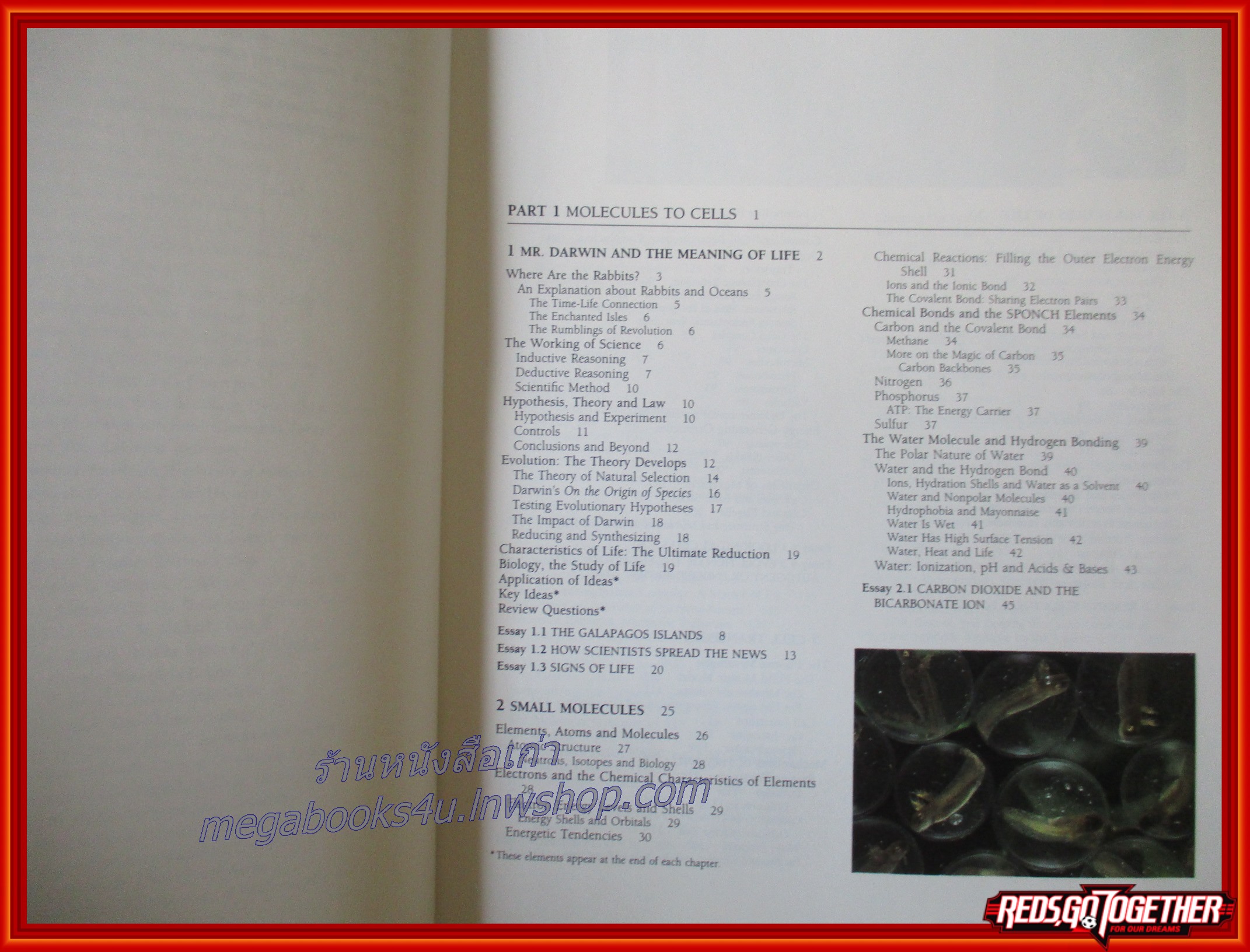 หนังสือชีวะ หนังสือชีววิทยา Biology Science for Life Third Edition (ภาษาอังกฤษทั้งเล่ม)