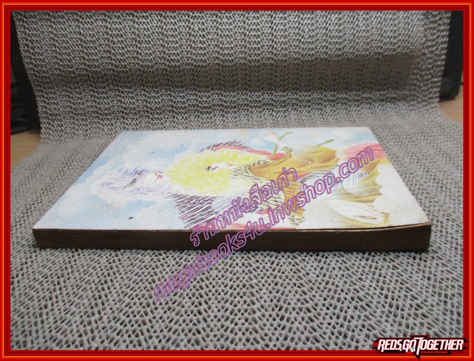 การ์ตูนบ้าน ฝันรักเพียงครึ่งทาง เล่มเดียวจบ