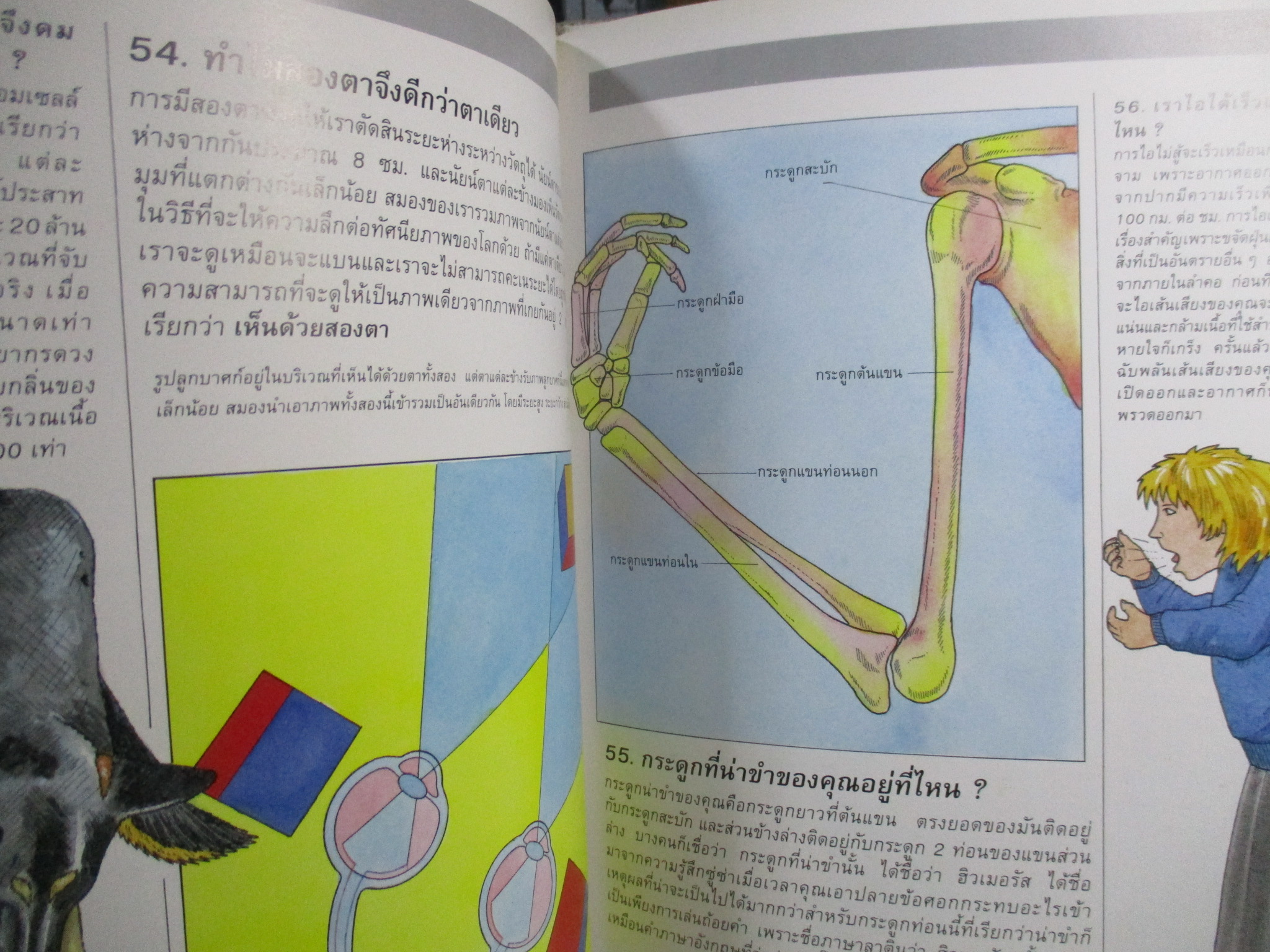 พลังกาย คุณเชื่อหรือไม่? สารานุกรมเยาวชน / ซูเปอร์ไอคิว