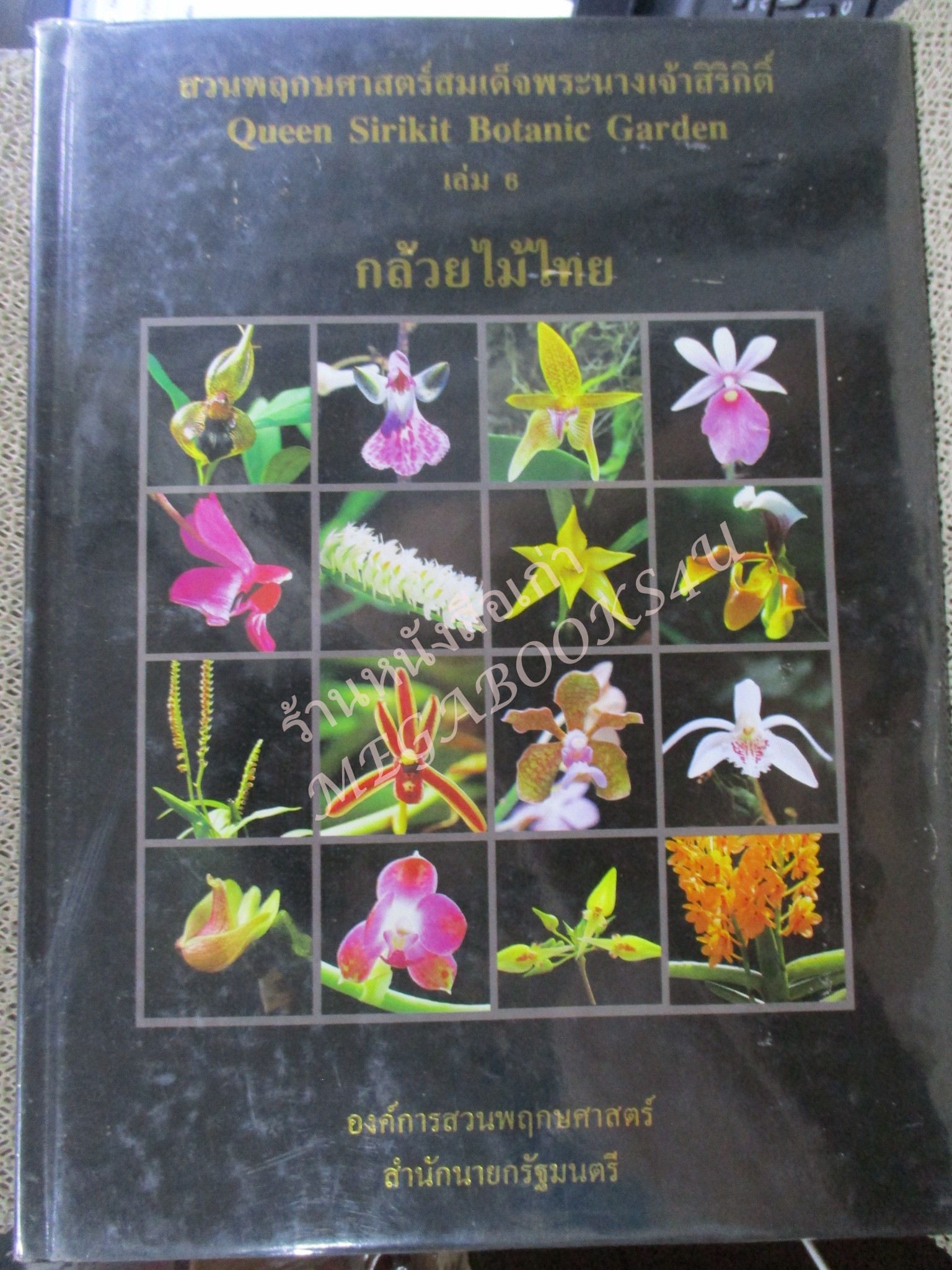 กล้วยไม้ไทย เล่ม 6 สวนพฤกษศาสตร์สมเด็จพระนางเจ้าสิริกิติ์ (ปกแข็ง กระดาษมัน) สภาพดี สวย