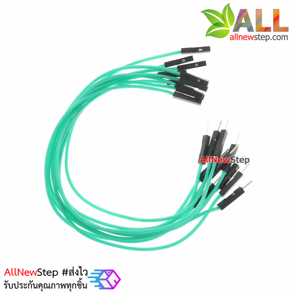 สายไฟจัมเปอร์ 20cm สาย jumper 20 cm จำนวน 10 เส้น ผู้-เมีย สีเขียว