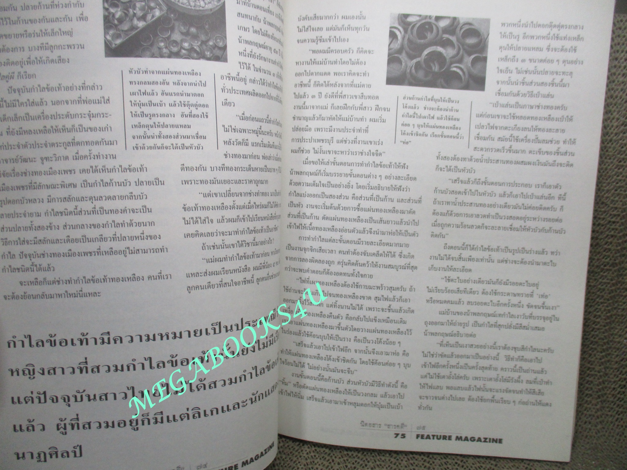 นิตยสารสารคดี ฉบับที่119 มกราคม 2538 หมูชีวิตนี้เพื่อมนุษย์ ชนชาติจ้วง วอชิงตันดีซี ยะลา