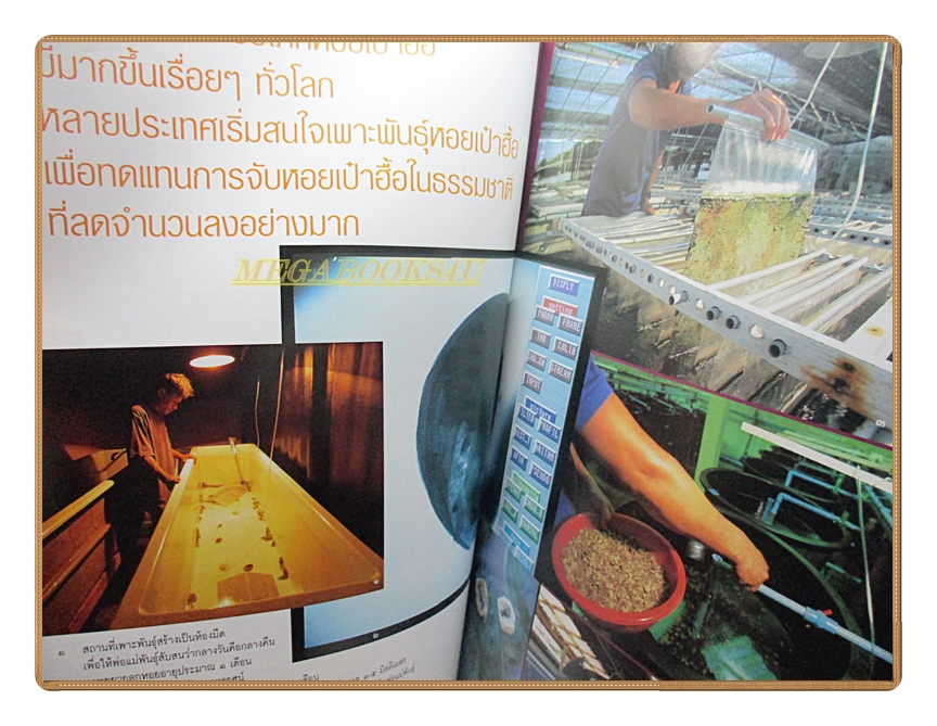นิตยสารสารคดี ฉบับที่231 ปีที่20 2547 จิตร ภูมิศักดิ์ ม้งในลาว หอยเป๋าฮื้อ สภาพดี