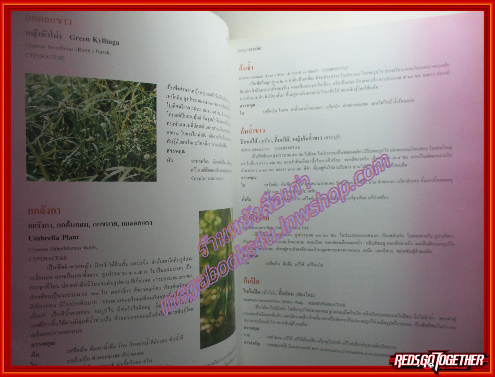 ร่วมอนุรักษ์มรดกไทย สารานุกรมสมุนไพร รวมหลักเภสัชกรรมไทย โดย วุฒิ วุฒิธรรมเวช ปกแข็ง หนาใหญ๋