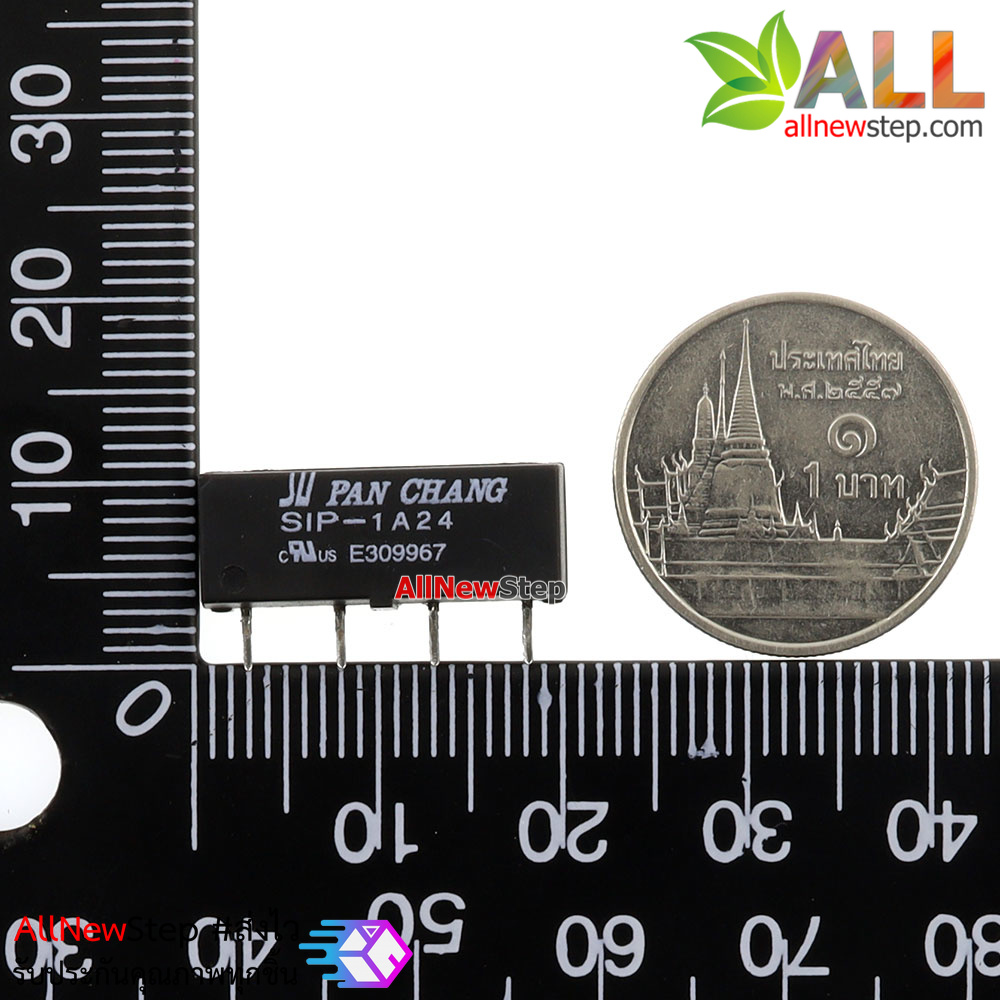 Relay Reed Switch 24V 1A