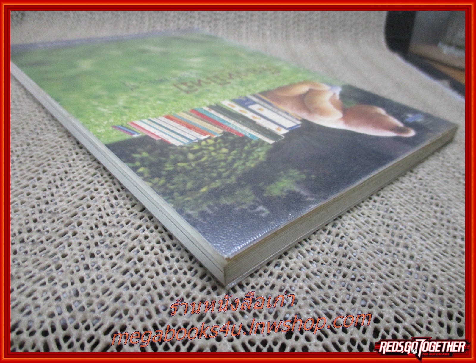 เรื่องหมีหมี เรื่องเล่าจากคนรักหมี / วินนี่ เดอะปุ๊ / มติชน / รูปเล่มดี สันกระดาษเปื้อนฝุ่นเล็กน้อย