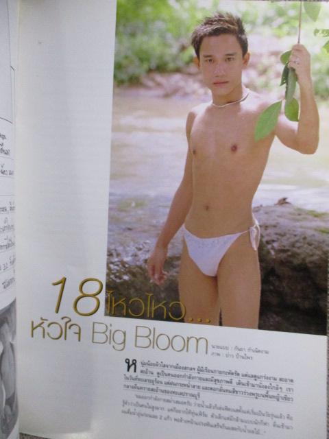 นิตยสาร SUPERMAN VOL.01 / 2004 / เปิดเผยตามรูป