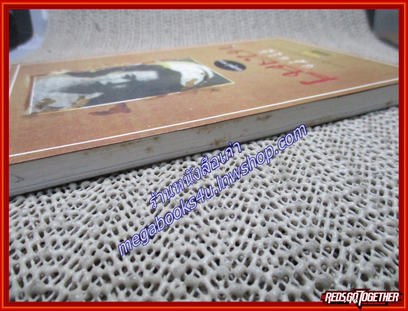 ชีวิตรักนวลฉวี / อรสม สุทธิสาคร / รวมทรรศน์