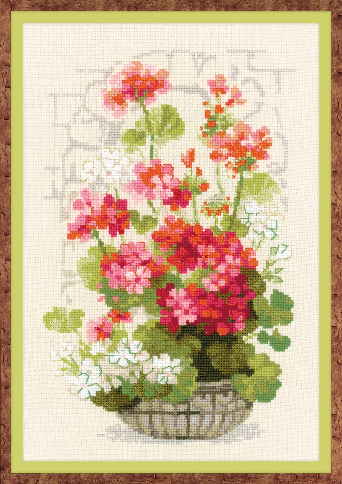 Riolis Geranium