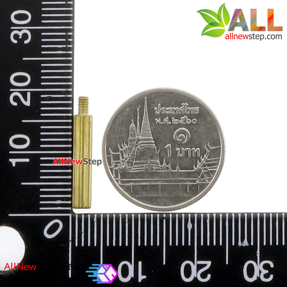 น็อตทองเหลือง NUT M2 ขนาด 15+3mm