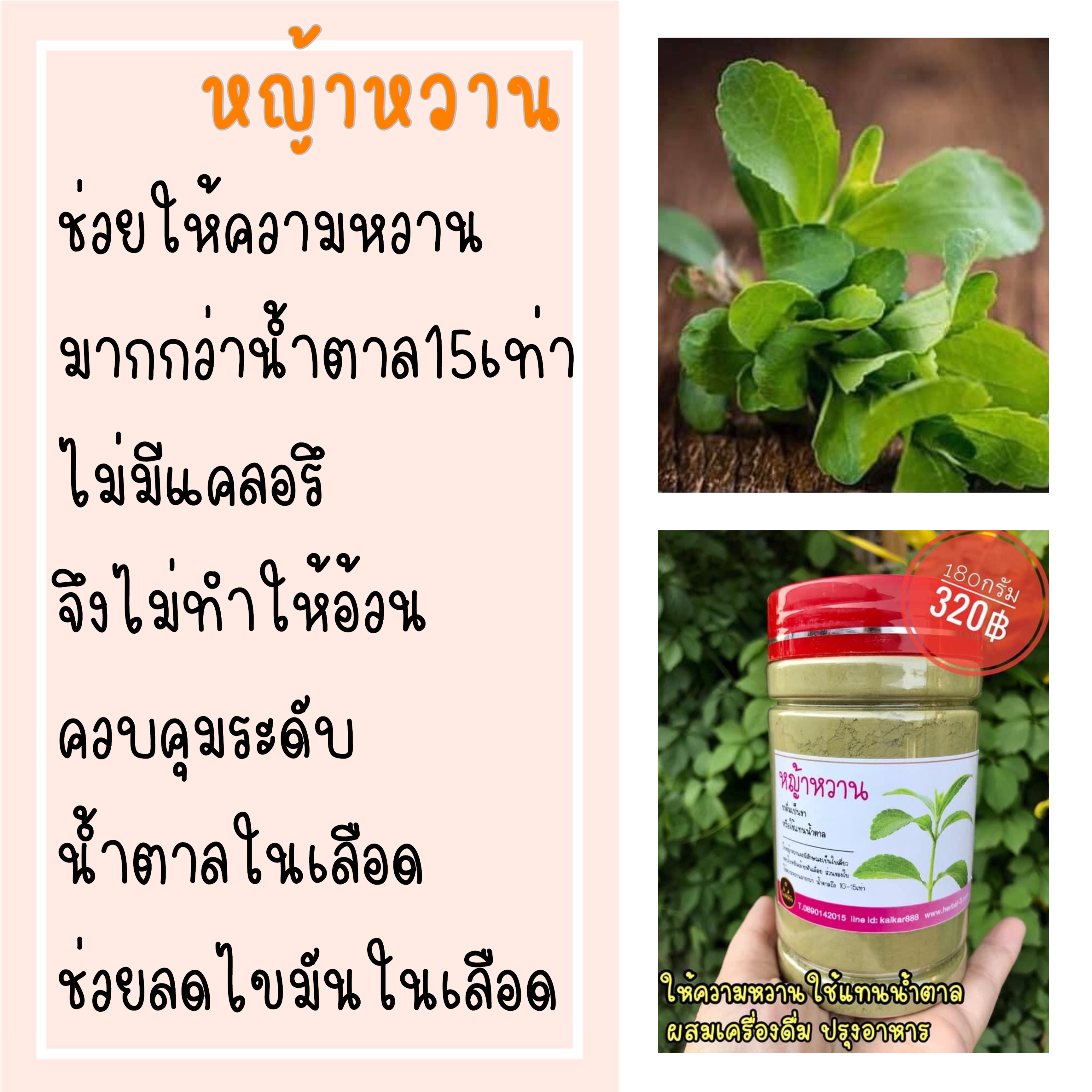 ชุดหวานใจ (มัทฉะ+หญ้าหวาน)