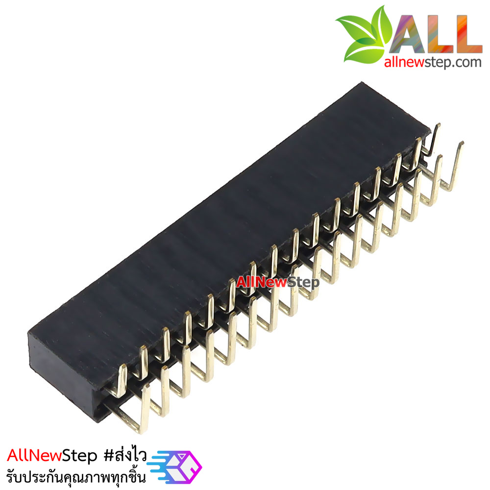ขาก้างปลาตัวเมียแบบฉาก 2x16 ขา Double Row Hole Jack 2x16 PIN Header 2.54mm