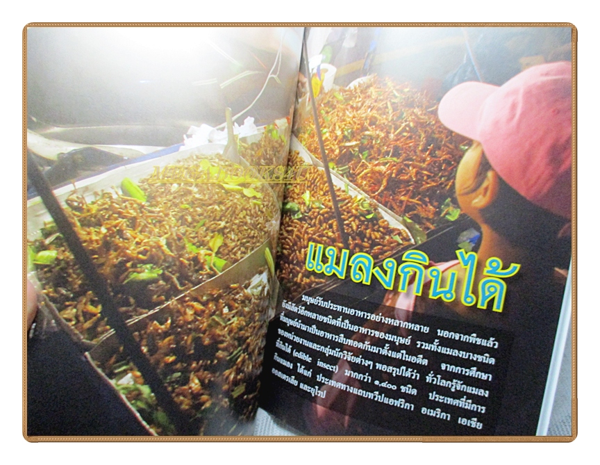 สารานุกรมไทยสำหรับเยาวชนฉบับเสริมการเรียนรู้ เล่ม17 โดยพระราชประสงค์ในพระบาทสมเด็จพระเจ้าอยู่หัว