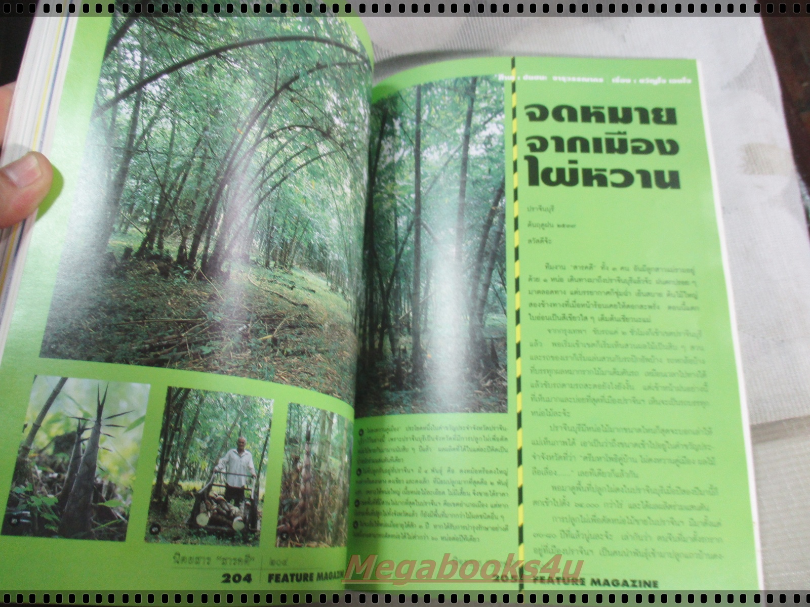 นิตยสารสารคดี ฉบับที่115 กันยายน 2537 ;โรงเรียนพึ่งตนเอง,ชา,ซานฟรานซิสโก,ปราจีนบุรี,